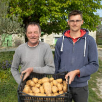 Patrick BERTHELOT, producteur de pomme de terre