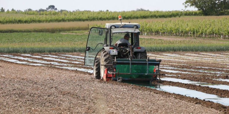 Tracteur dans un champs de la Cueillette des Garcin à Guimps